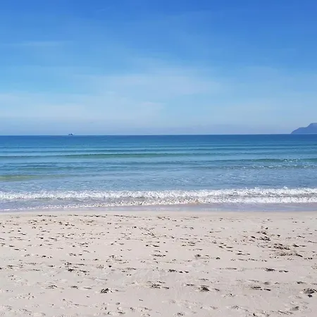 Appartement Ideal Mallorca - Enjoy *